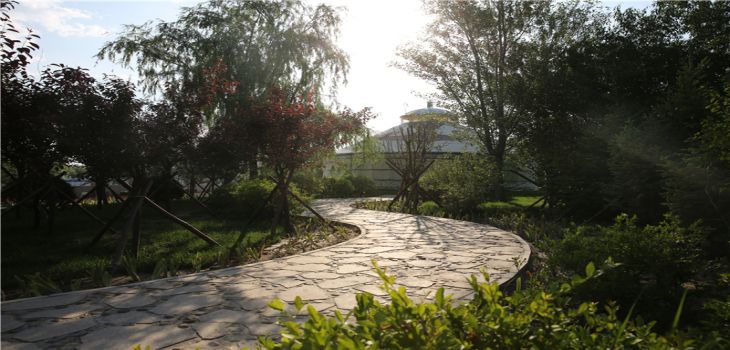 内蒙古师范大学在天津招生计划?学费是多少?录取分数线是多少?