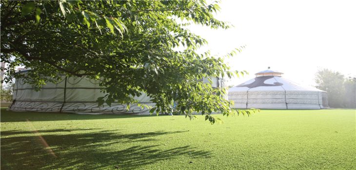 唐山学院山东省录取分数线是多少?学费又是多少?