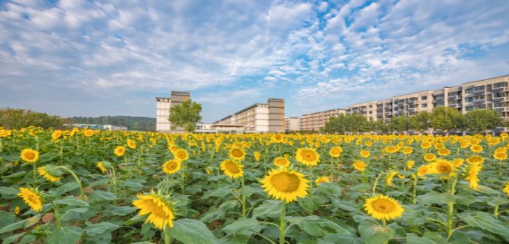 燕山大学在湖南招生计划？学费是多少？录取分数线是多少？