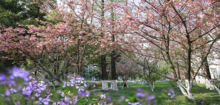 广西师范大学2024年在陕西录取分数线和招生计划