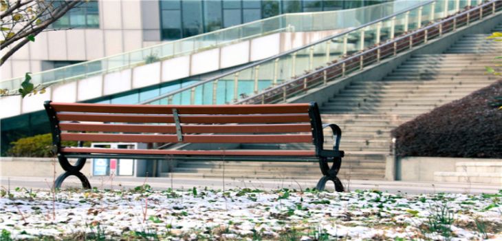 西藏农牧学院2024年在陕西录取分数线和招生计划