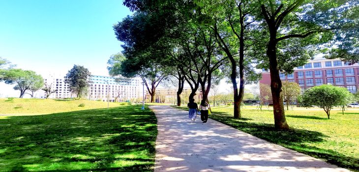 曲阜师范大学2024年在黑龙江录取分数线和招生计划以及学费