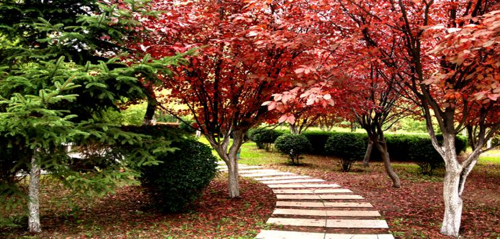 成都理工大学2024年录取最低分数线招生计划和学费:河北考生2025年参考