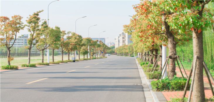 2024年深圳大学在浙江招生计划和学费是多少?录取分数线是多少?