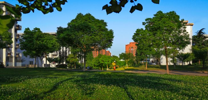 山西师范大学2024年在天津录取分数线和招生计划以及学费