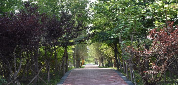 中国石油大学(华东)2024年在重庆录取最低分数线和学费是多少?