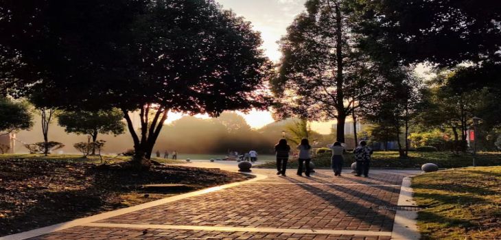 2024年洛阳理工学院在宁夏招生计划和学费是多少?录取分数线是多少?