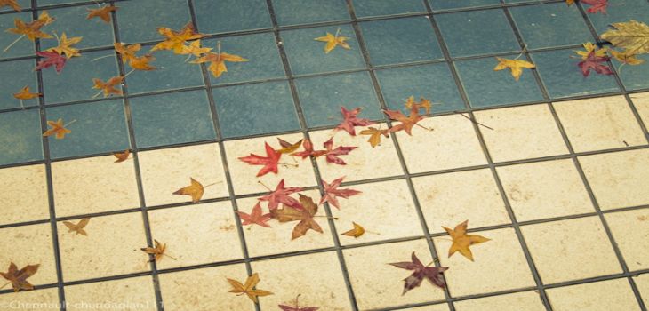 长江师范学院2024年在湖南录取分数线和招生计划以及学费