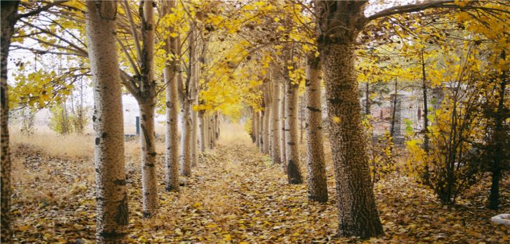 郑州轻工业大学2024年每年多少学费?每年4400元到5500元(供青海考生参考)