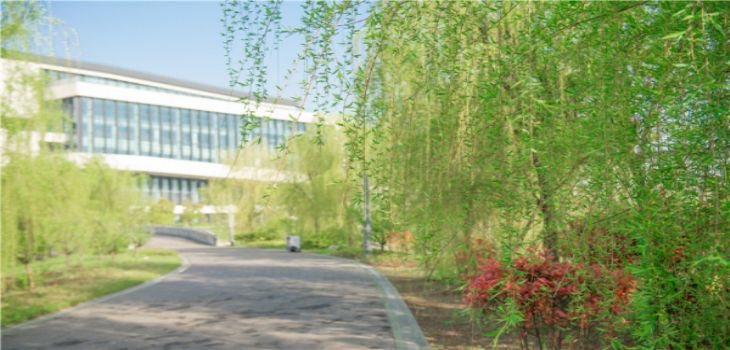 乐山师范学院2024年每年多少学费?每年4800元到5200元(供云南考生参考)