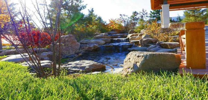 辽宁理工学院安徽省分数线是多少?招生计划和学费是多少?