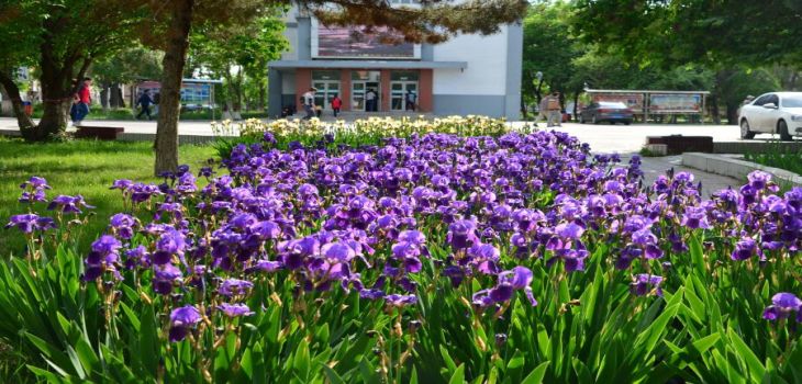 2024年东北师范大学收费明细:一年-元到60000元(供安徽考生参考)